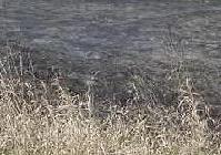 The scorched ground
