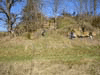 The geology team sweeps the land while mapping