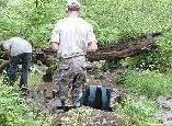 Ichthyology members collect water 
            samples